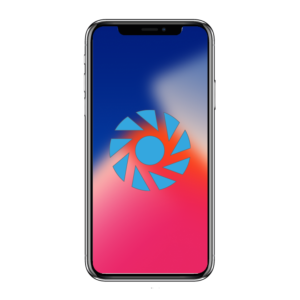 Back/Main Camera Replacement